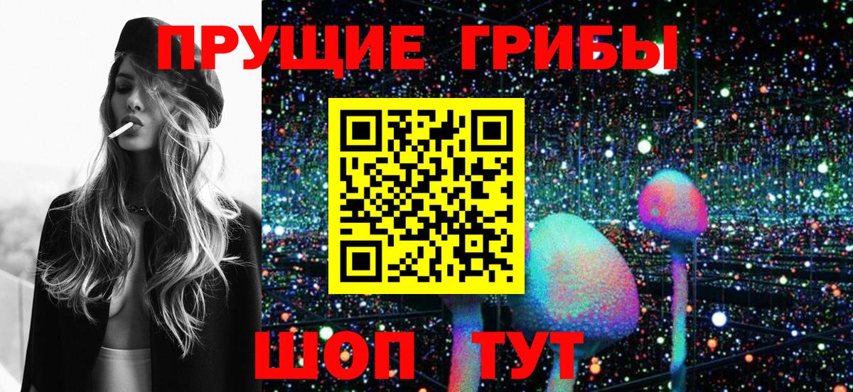 Псилоцибиновые грибы GOLDEN TEACHER Шебекино