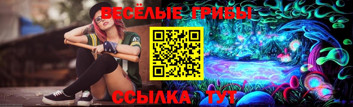 Шебекино  купить   Вход с VPN  Галлюциногенные грибы Cubensis 