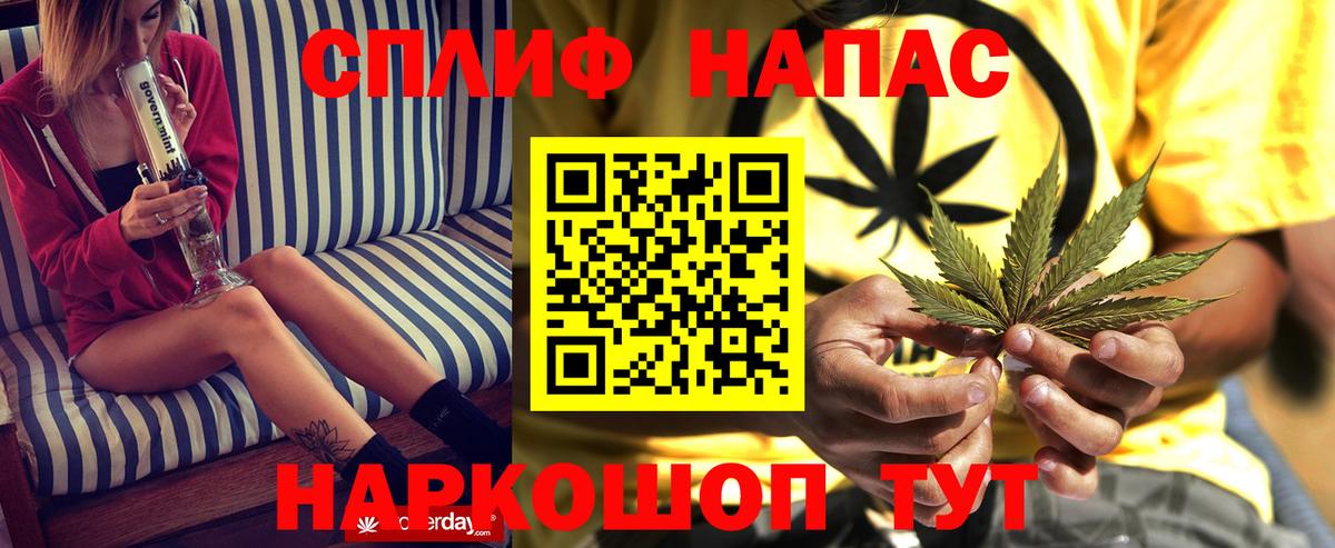 Бошки марихуана сатива Шебекино